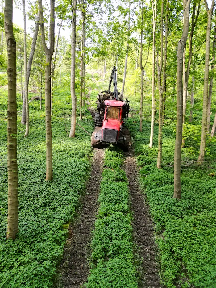 Forwarder working in woodland